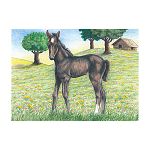 Puzzle 6 kostek1